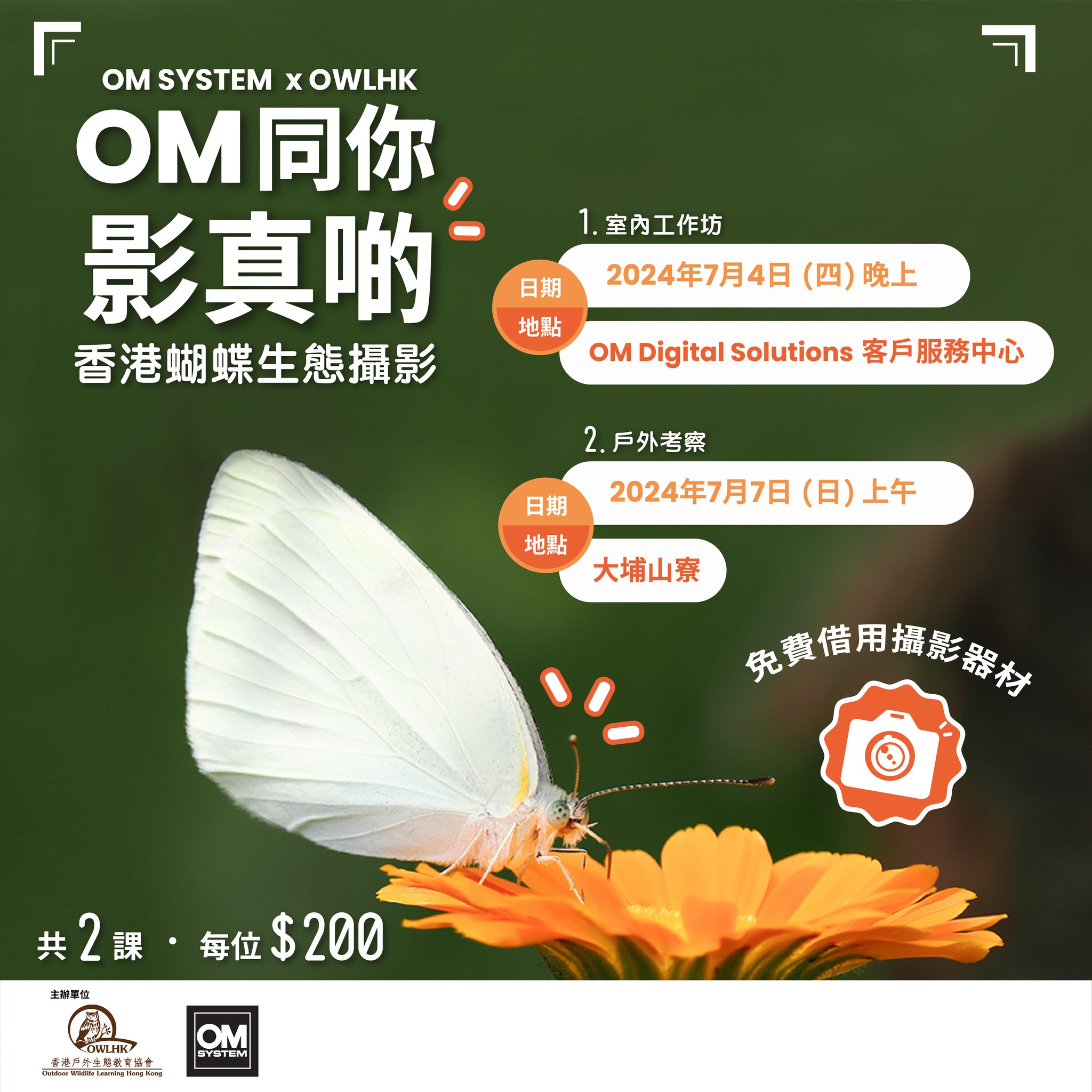 〖OM X OWLHK – OM 同你影真啲 〗 🦋香港蝴蝶生態攝影工作坊