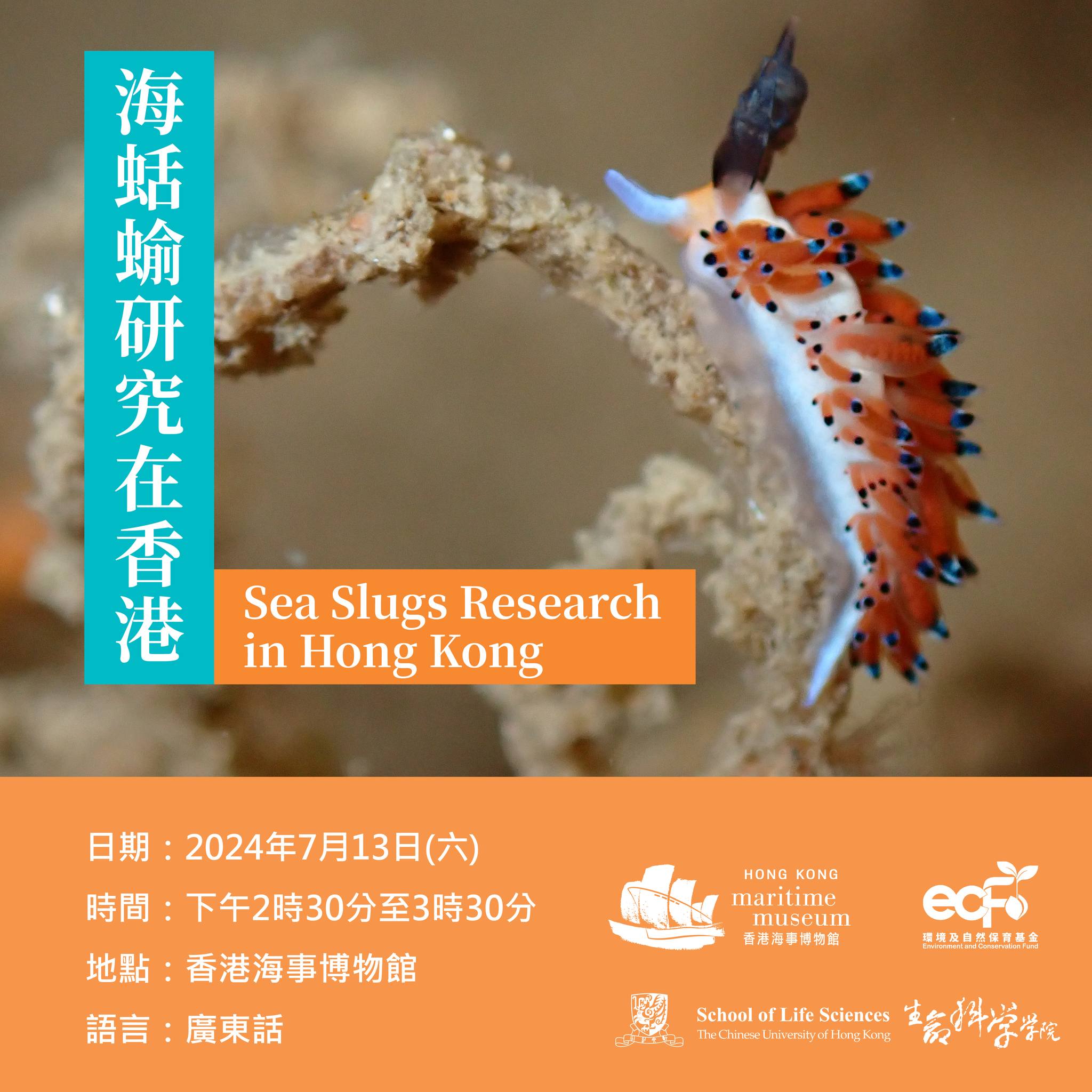 【海蛞蝓研究在香港(講座) Sea Slugs Researches in Hong Kong (Talk, Cantonese only)】